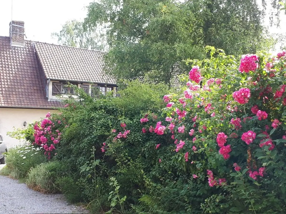Maison à vendre sur Canlers Réf.V10008049 - 12