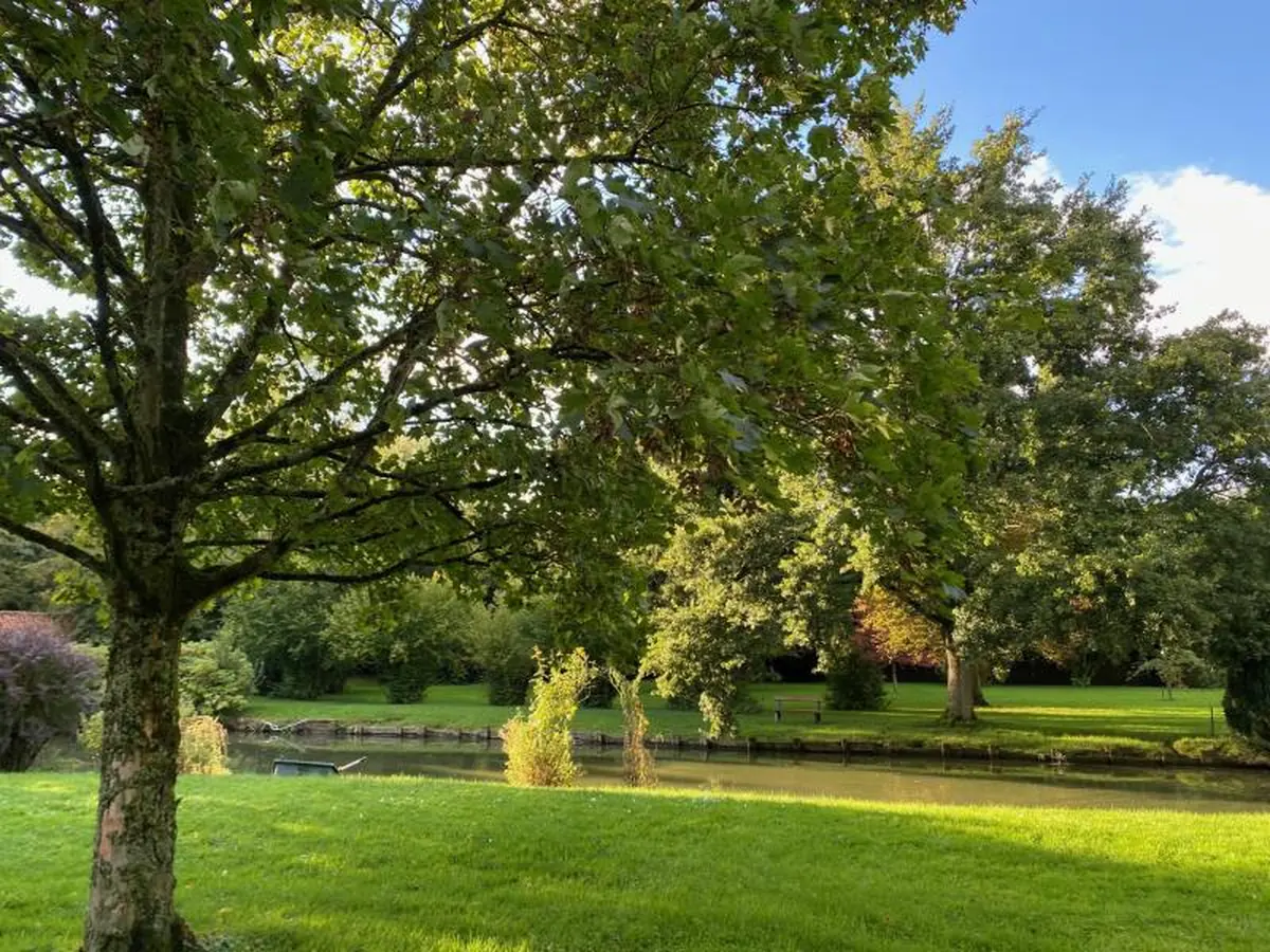 Maison à vendre sur Rollancourt Réf.06008 - 3